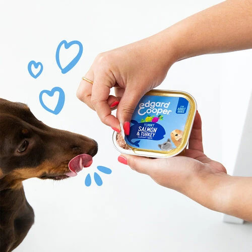Edgard & Cooper Adult - Lachs und Truthahn - Schale Edgard & Cooper Adult - Lachs Und Truthahn - Schale -Heimtierbedarf edgard cooper adult zalm kalkoen kuipje 208616 0500 none