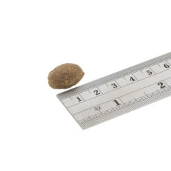 Fish4Dogs Finest Adult Complete - Sardine Große Brocken 3 Fish4Dogs Finest Adult Complete - Sardine Große Brocken -Heimtierbedarf fish4dogs finest adult complete sardine grote brok 160928 0500 none