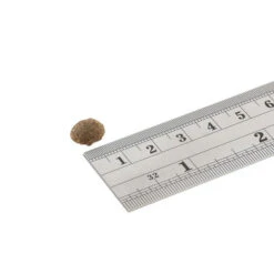 Fish4Dogs Finest Adult Complete - Sardine Kleine Brocken -Heimtierbedarf fish4dogs finest adult complete sardine kleine brok 160934 0500 none