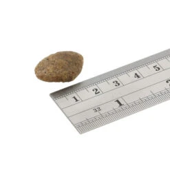 Fish4Dogs Finest Adult Complete - Weißfisch Große Brocken -Heimtierbedarf fish4dogs finest adult complete witvis grote brok 160916 0500 none