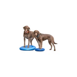 FitPAWS Balance Disk 3 FitPAWS Balance Disk -Heimtierbedarf fitpaws balance disc 151561 0500 none