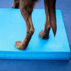 FitPAWS Balance Pad -Heimtierbedarf fitpaws balance pad 176131 0500 none