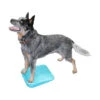 FitPAWS Balance Ramp 2 FitPAWS Balance Ramp -Heimtierbedarf fitpaws balance ramp 176140 0500 none