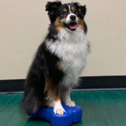 FitPAWS Bone Minis -Heimtierbedarf fitpaws bone minis 177121 0500 none