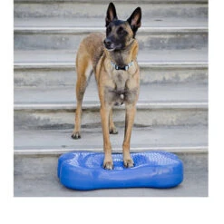 FitPAWS K9Fitbone 3 FitPAWS K9Fitbone -Heimtierbedarf fitpaws k9fitbone 109639 0500 none
