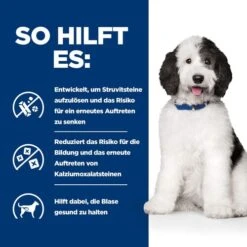 Hill's C/d Multicare Ragout - Prescription Diet - Canine 6 Hill's C/d Multicare Ragout - Prescription Diet - Canine -Heimtierbedarf hills cd multicare stoofpotje prescription diet canine 211406 0500 none