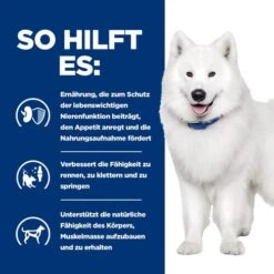 Hill's K/d + Mobility - Prescription Diet - Canine 5 Hill's K/d + Mobility - Prescription Diet - Canine -Heimtierbedarf hills kd mobility prescription diet canine 212189 0500 none