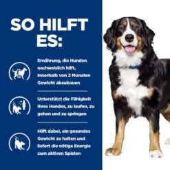 Hill's Metabolic + Mobility - Prescription Diet - Canine -Heimtierbedarf hills metabolic mobility prescription diet canine 212783 0500 none