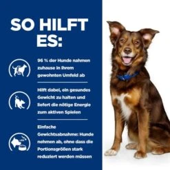 Hill's Metabolic Weight Management - Prescription Diet - Canine -Heimtierbedarf hills metabolic weight management prescription diet canine 217871 0500 none
