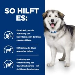 Hill's Prescription Diet - Canine - C/d Multicare + Metabolic 5 Hill's Prescription Diet - Canine - C/d Multicare + Metabolic -Heimtierbedarf hills prescription diet canine cd multicare metabolic 212645 0500 none