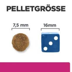 Hill's Prescription Diet Gastrointestinal Biome - Canine - Mini -Heimtierbedarf hills prescription diet gastrointestinal biome canine mini 211880 0500 none