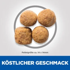 Hill's Science Plan - Adult - Large - Huhn -Heimtierbedarf hills science plan adult large chicken 218835 0500 none