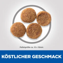 Hill's Science Plan - Mature/Adult - Medium - Lamb & Rice 6 Hill's Science Plan - Mature/Adult - Medium - Lamb & Rice -Heimtierbedarf hills science plan matureadult medium lamb rice 218562 0500 none