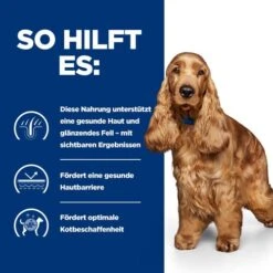 Hill's Z/d Food Sensitivities - Prescription Diet - Canine 8 Hill's Z/d Food Sensitivities - Prescription Diet - Canine -Heimtierbedarf hills zd food sensitivities prescription diet canine 214331 0500 none