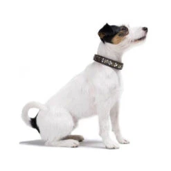 Hunter Halsband Arizona 3 Hunter Halsband Arizona -Heimtierbedarf hunter halsband arizona 116187 0500 none