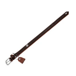 Hunter Halsband Cody -Heimtierbedarf hunter halsband cody 116502 0500 none