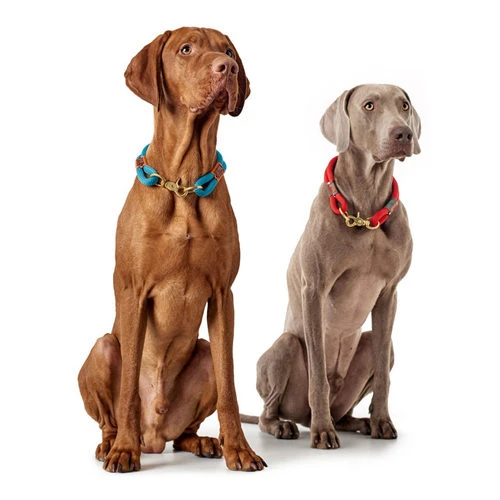 Hunter Halsband Oss Hunter Halsband Oss -Heimtierbedarf hunter halsband oss 146099 0500 none