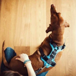 Hunter Geschirr Divo Dunkelblau/Grau -Heimtierbedarf hunter harnas divo donkerblauwgrijs 166903 0500 none