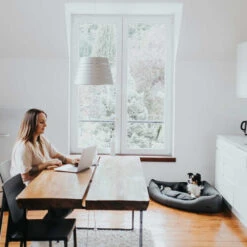 Hunter Eckkorb Livingstone - Grau -Heimtierbedarf hunter hoekmand livingstone grijs 175903 0500 none