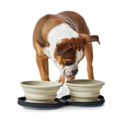 Hunter Silikon-Reisenäpfe In Tasche -Heimtierbedarf hunter siliconen reiskommen in tasje 175747 0500 none