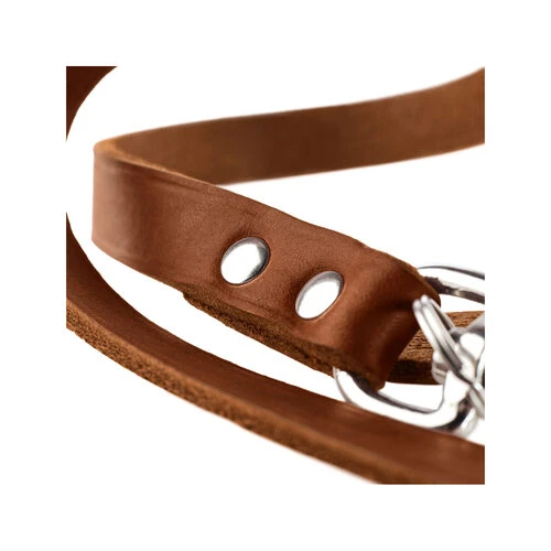 Hunter Trainingsleine - Braun Hunter Trainingsleine - Braun -Heimtierbedarf hunter trainingsriem bruin 175345 0500 none