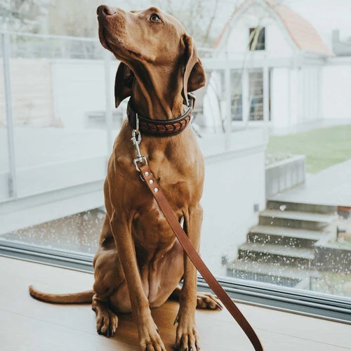 Hunter Trainingsleine - Braun Hunter Trainingsleine - Braun -Heimtierbedarf hunter trainingsriem bruin 175348 0500 none