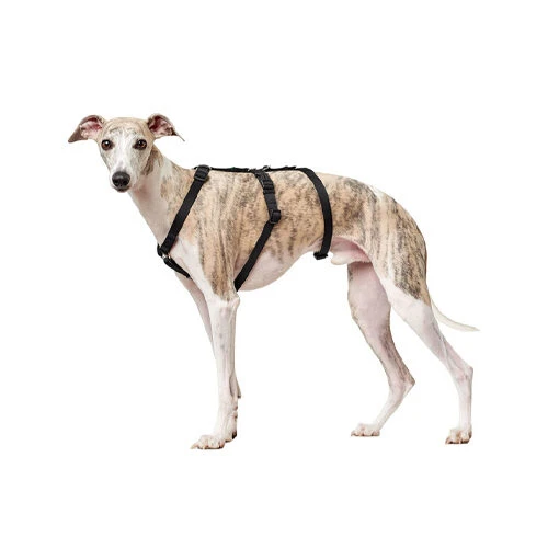 Hunter Vario Rapid Sicherheitsgeschirr - Schwarz Hunter Vario Rapid Sicherheitsgeschirr - Schwarz -Heimtierbedarf hunter vario rapid veiligheidsharnas zwart 169501 0500 none