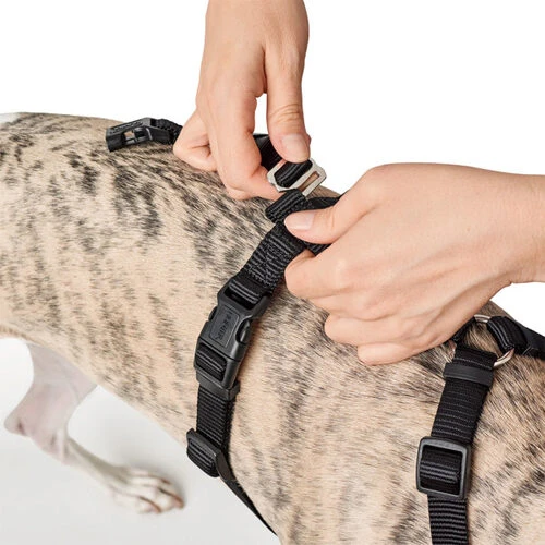 Hunter Vario Rapid Sicherheitsgeschirr - Schwarz Hunter Vario Rapid Sicherheitsgeschirr - Schwarz -Heimtierbedarf hunter vario rapid veiligheidsharnas zwart 169504 0500 none