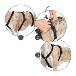 Hunter Vario Rapid Sicherheitsgeschirr - Schwarz 7 Hunter Vario Rapid Sicherheitsgeschirr - Schwarz -Heimtierbedarf hunter vario rapid veiligheidsharnas zwart 169510 0500 none