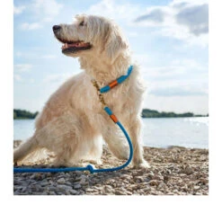 Hunter Verstellbare Führleine Oss -Heimtierbedarf hunter verstelbare riem oss 116580 0500 none