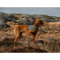 Hurtta Go Geschirr Storm Grey -Heimtierbedarf hurtta go harness storm grey 201305 0500 none