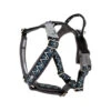 Hurtta Razzle Dazzle Y-Harness - Blackberry -Heimtierbedarf hurtta razzle dazzle harness blackberry 175969 0500 none