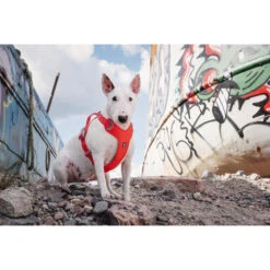 Hurtta Weekend Warrior Eco Geschirr -Heimtierbedarf hurtta weekend warrior eco harness 189132 0500 none