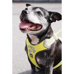 Hurtta Weekend Warrior Geschirr -Heimtierbedarf hurtta weekend warrior harness 189093 0500 none