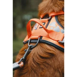 Hurtta Weekend Warrior Geschirr -Heimtierbedarf hurtta weekend warrior harness 189096 0500 none