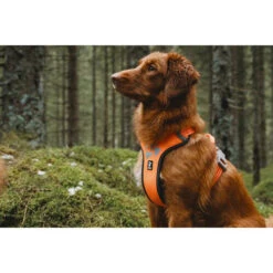 Hurtta Weekend Warrior Geschirr -Heimtierbedarf hurtta weekend warrior harness 189108 0500 none