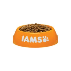 IAMS For Vitality Dog Puppy & Junior - Small & Medium -Heimtierbedarf iams dog puppy junior small medium 133682 0500 none