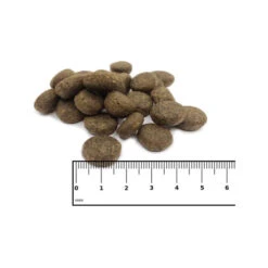 ICEPAW Scandic Duck 3 ICEPAW Scandic Duck -Heimtierbedarf icepaw scandic duck 221035 0500 none