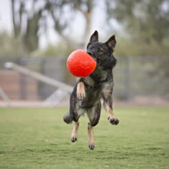 Jolly Soccer Ball -Heimtierbedarf jolly soccer ball 162241 0500 none