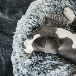 Kentucky Dogwear - Comfort Donut-Hundekorb 5 Kentucky Dogwear - Comfort Donut-Hundekorb -Heimtierbedarf kentucky dogwear comfort donut hondenmand 219723 0500 none