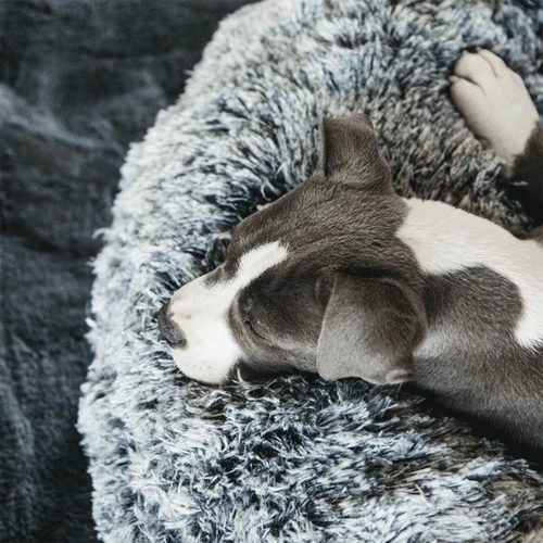 Kentucky Dogwear - Comfort Donut-Hundekorb Kentucky Dogwear - Comfort Donut-Hundekorb -Heimtierbedarf kentucky dogwear comfort donut hondenmand 219723 0500 none