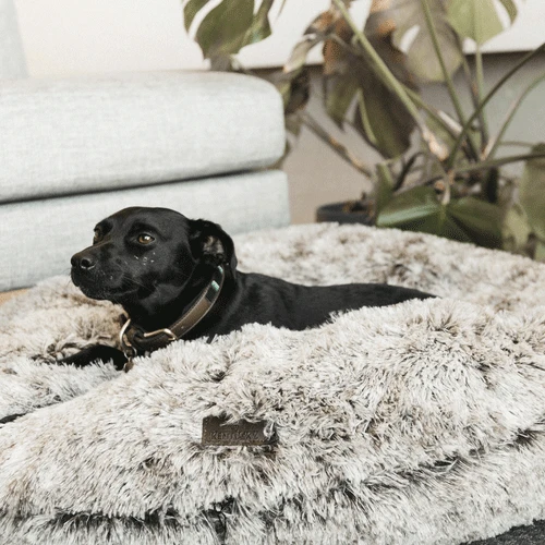 Kentucky Dogwear - Comfort Donut-Hundekorb Kentucky Dogwear - Comfort Donut-Hundekorb -Heimtierbedarf kentucky dogwear comfort donut hondenmand 219727 0500 none