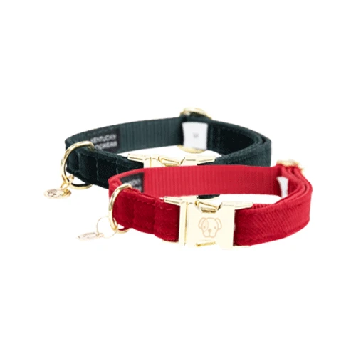 Kentucky Dogwear Corduroy Hundehalsband Kentucky Dogwear Corduroy Hundehalsband -Heimtierbedarf kentucky dogwear corduroy hondenhalsband 219197 0500 none