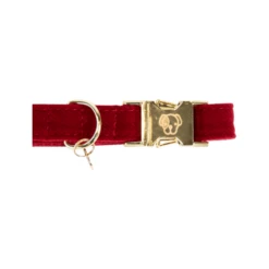 Kentucky Dogwear Corduroy Hundehalsband 7 Kentucky Dogwear Corduroy Hundehalsband -Heimtierbedarf kentucky dogwear corduroy hondenhalsband 219199 0500 none