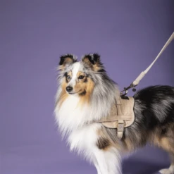 Kentucky Dogwear Hundeleine Wool -Heimtierbedarf kentucky dogwear hondenlijn wool 219684 0500 none