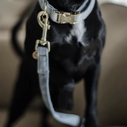 Kentucky Dogwear Hundeleine Wool -Heimtierbedarf kentucky dogwear hondenlijn wool 219689 0500 none