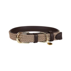 Kentucky Dogwear Nylon Hundehalsband -Heimtierbedarf kentucky dogwear nylon hondenhalsband 219176 0500 none