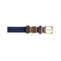 Kentucky Dogwear Nylon Hundehalsband -Heimtierbedarf kentucky dogwear nylon hondenhalsband 219177 0500 none