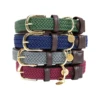 Kentucky Dogwear Nylon Hundehalsband -Heimtierbedarf kentucky dogwear nylon hondenhalsband 219181 0500 none