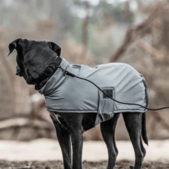 Kentucky Dogwear Soft Rubber Hundehalsband -Heimtierbedarf kentucky dogwear soft rubber hondenhalsband 219265 0500 none